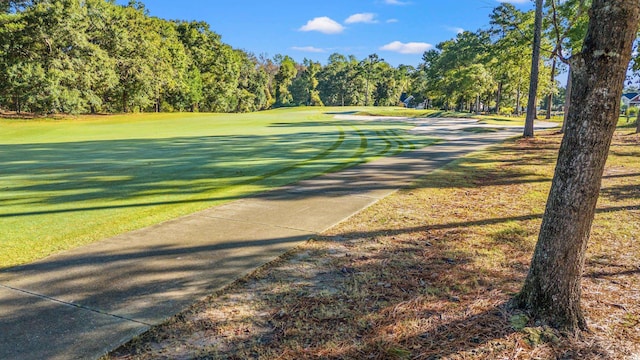 800 Caines Landing Rd, Conway, SC 29526 - photo 35
