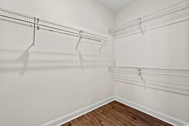 spacious closet with wood-type flooring