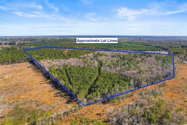 5.47ACS Kates Bay Hwy, Conway, SC 29527 - photo 18