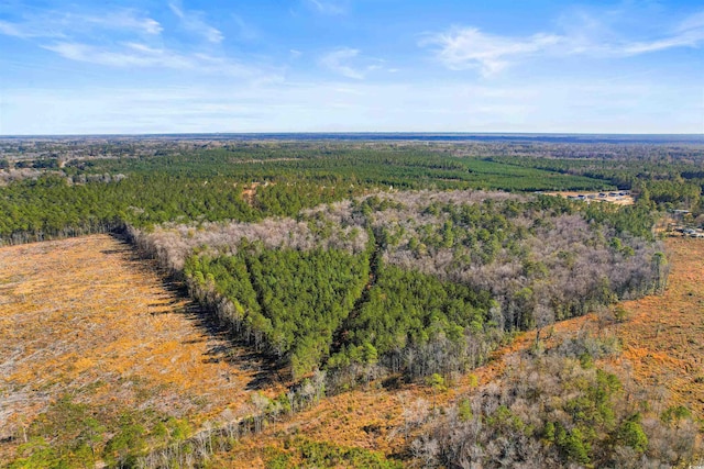 5.47ACS Kates Bay Hwy, Conway, SC 29527 - photo 17