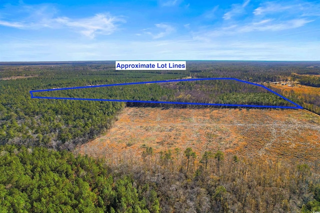 5.47ACS Kates Bay Hwy, Conway, SC 29527 - photo 16