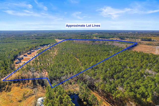 5.47ACS Kates Bay Hwy, Conway, SC 29527 - photo 14