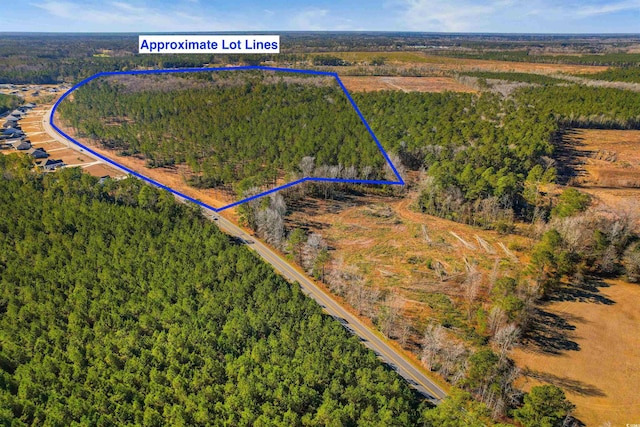 5.47ACS Kates Bay Hwy, Conway, SC 29527 - photo 12