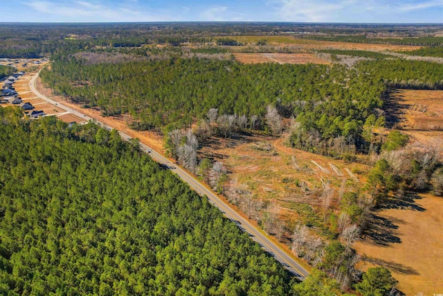 5.47ACS Kates Bay Hwy, Conway, SC 29527 - photo 11