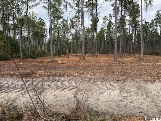 5.47ACS Kates Bay Hwy, Conway, SC 29527 - photo 2