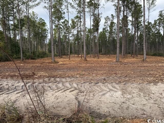 6.97ACS Kates Bay Hwy, Conway, SC 29527