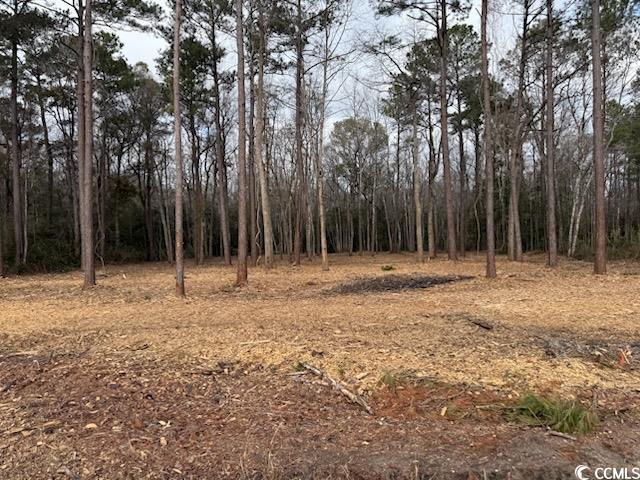 6.97ACS Kates Bay Hwy, Conway, SC 29527