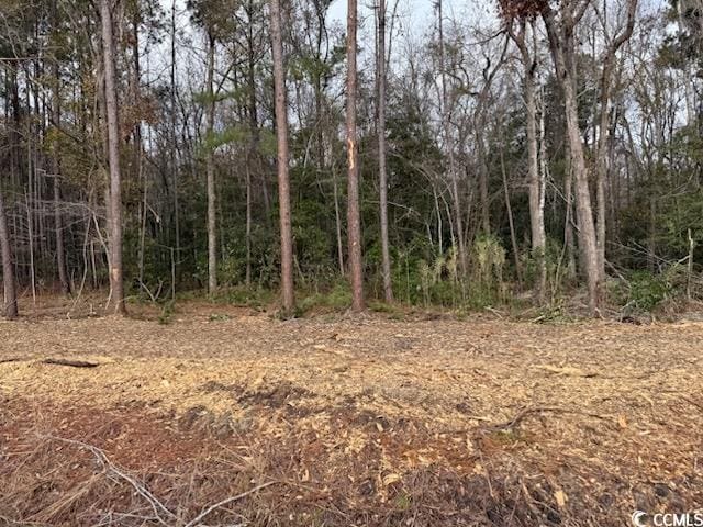 6.97ACS Kates Bay Hwy, Conway, SC 29527