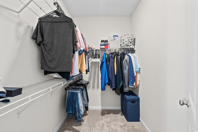 walk in closet with light carpet