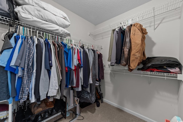 walk in closet featuring carpet floors