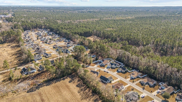 bird's eye view