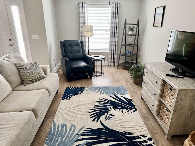 living room with light hardwood / wood-style flooring