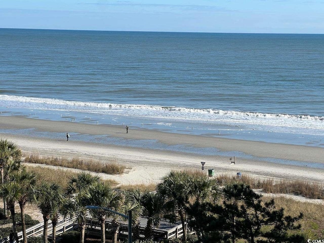 water view with a view of the beach