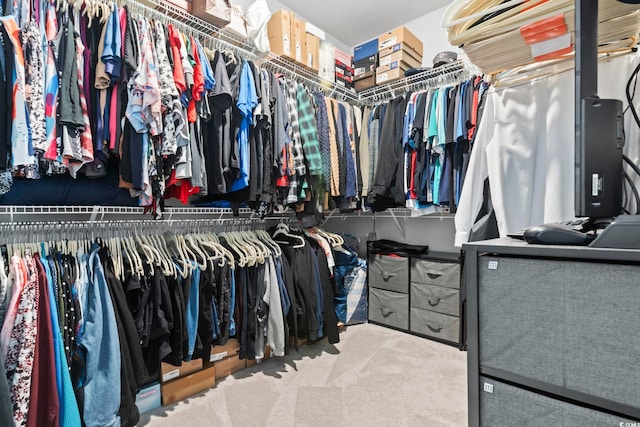 spacious closet featuring carpet floors