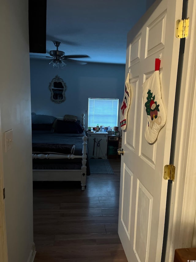 hallway featuring dark hardwood / wood-style floors