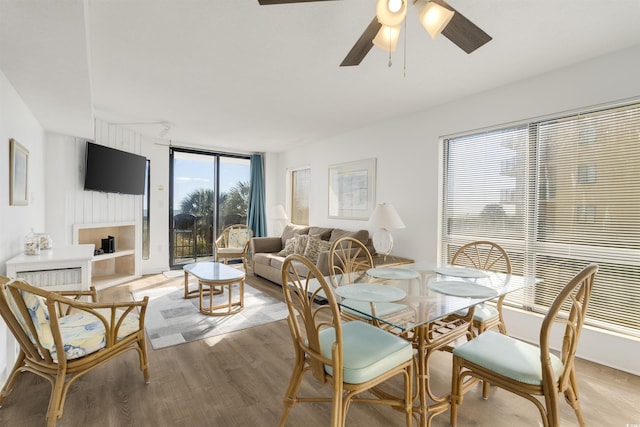 dining space with ceiling fan, expansive windows, and light hardwood / wood-style floors