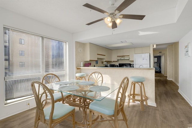 dining area featuring a wealth of natural light, light wood-type flooring, and ceiling fan