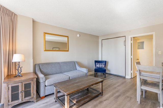 living room featuring light wood-type flooring