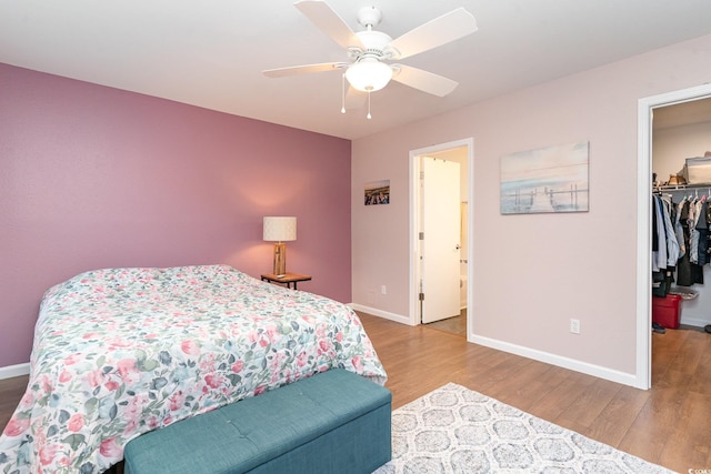 bedroom featuring ceiling fan, wood-type flooring, a walk in closet, and a closet