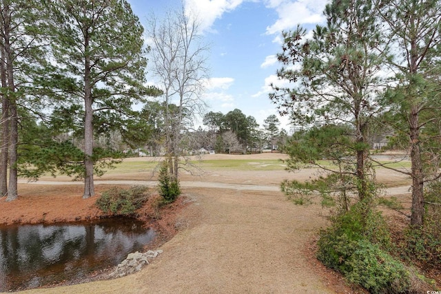 view of community with a water view