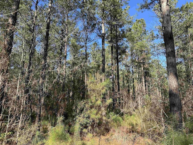 34ACRES-TBD Easler Hwy, Greeleyville, SC 29056 - photo 1