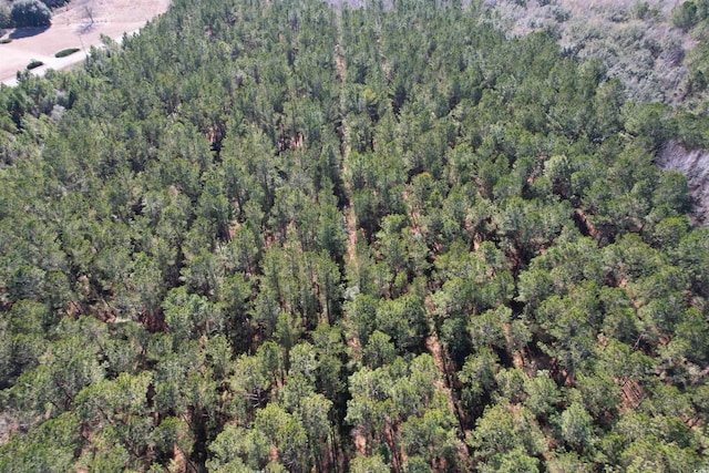 34ACRES-TBD Easler Hwy, Greeleyville, SC 29056 - photo 4
