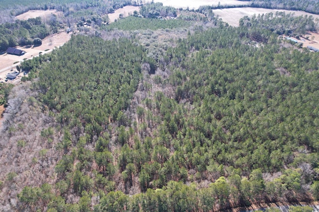 34ACRES-TBD Easler Hwy, Greeleyville, SC 29056 - photo 5