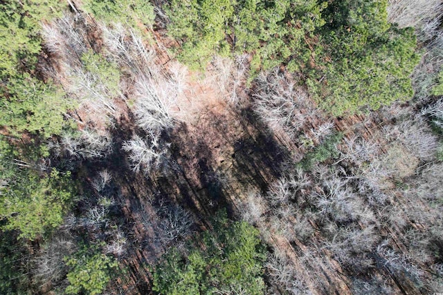 34ACRES-TBD Easler Hwy, Greeleyville, SC 29056 - photo 6