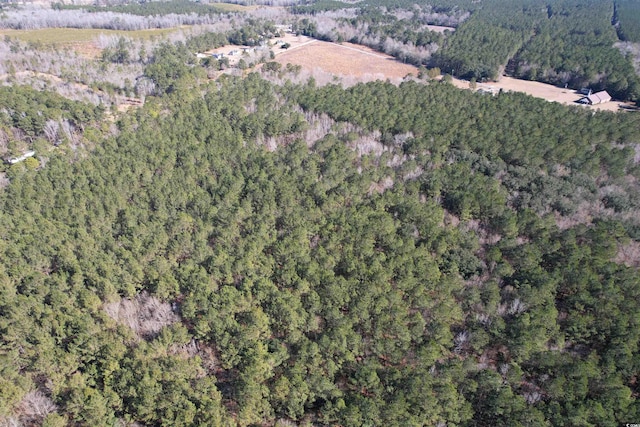 34ACRES-TBD Easler Hwy, Greeleyville, SC 29056 - photo 7