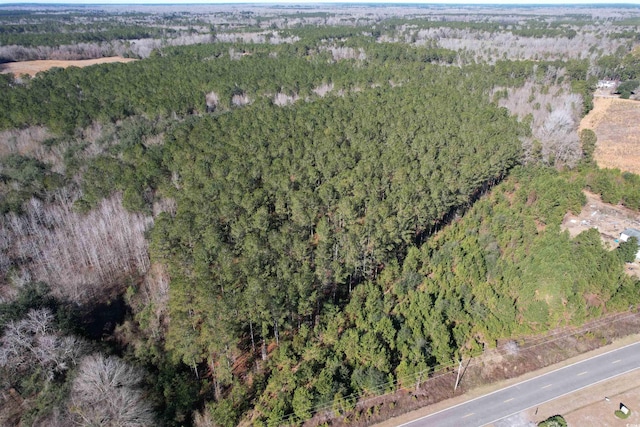 34ACRES-TBD Easler Hwy, Greeleyville, SC 29056 - photo 8
