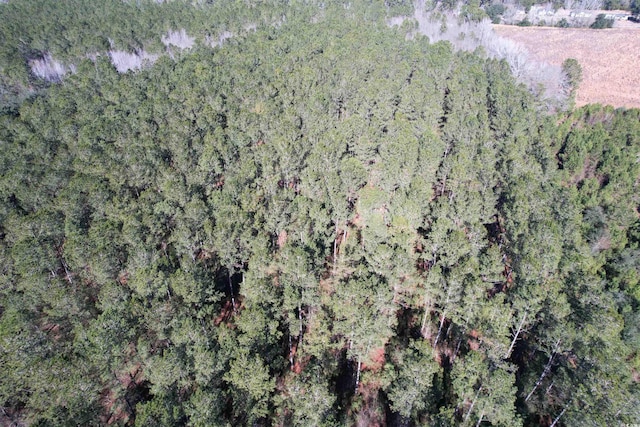 34ACRES-TBD Easler Hwy, Greeleyville, SC 29056 - photo 9