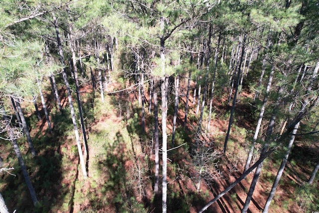 34ACRES-TBD Easler Hwy, Greeleyville, SC 29056 - photo 10