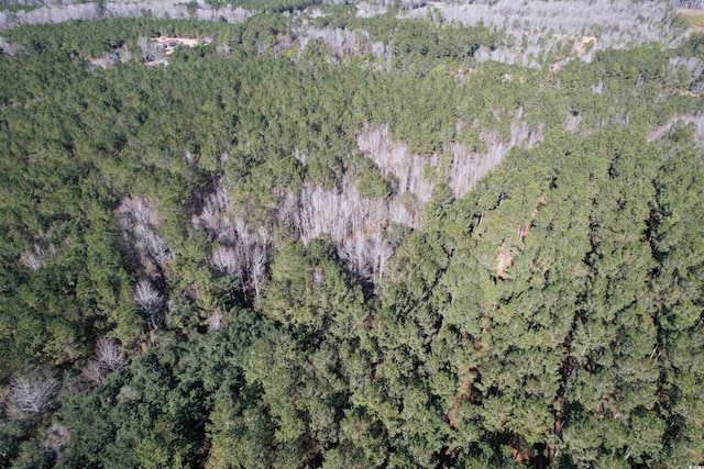 34ACRES-TBD Easler Hwy, Greeleyville, SC 29056 - photo 11