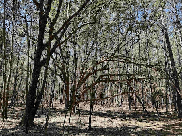 34ACRES-TBD Easler Hwy, Greeleyville, SC 29056 - photo 12