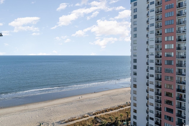 view of water feature with a beach view