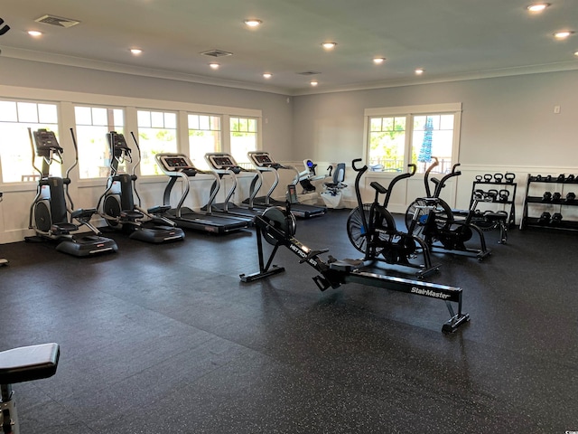 workout area featuring plenty of natural light and crown molding