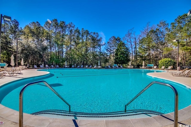 view of swimming pool with a patio