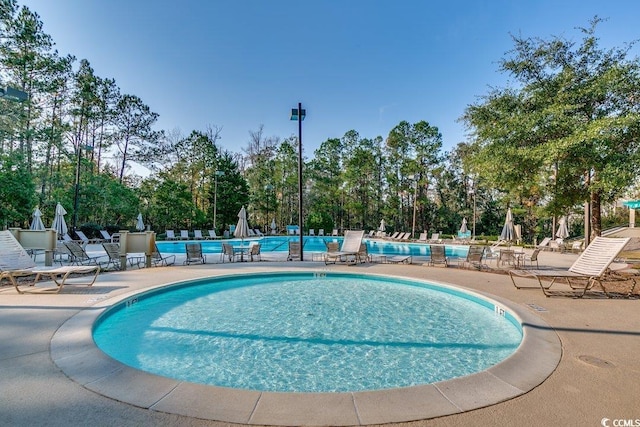 view of swimming pool with a patio