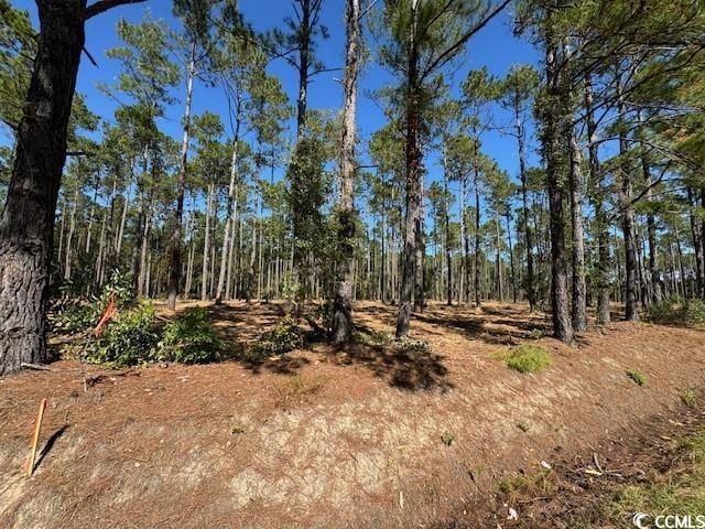TBD Highway 319, Aynor SC, 29511 land for sale