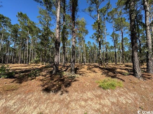 Listing photo 2 for TBD Highway 319, Aynor SC 29511