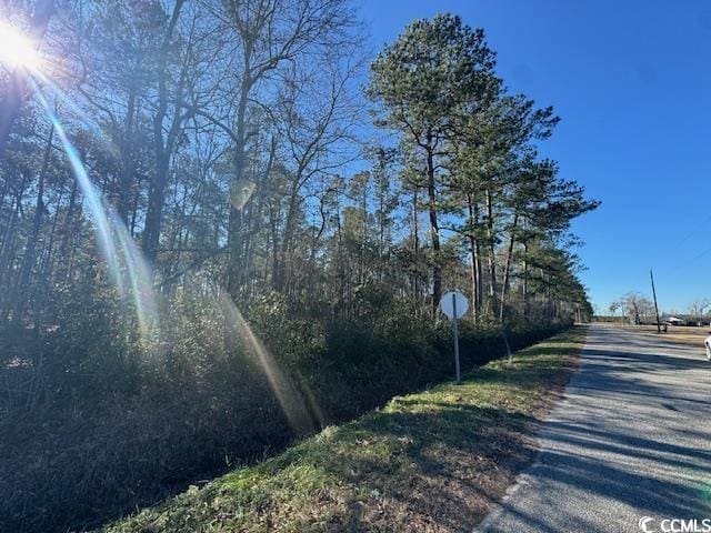 Listing photo 3 for TBD Highway 319, Aynor SC 29511