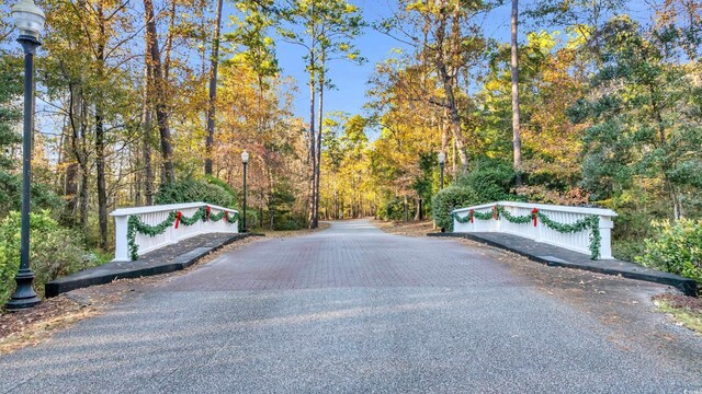239 Madison Dr, Georgetown, SC 29440 - view of street with street lights and a view of trees