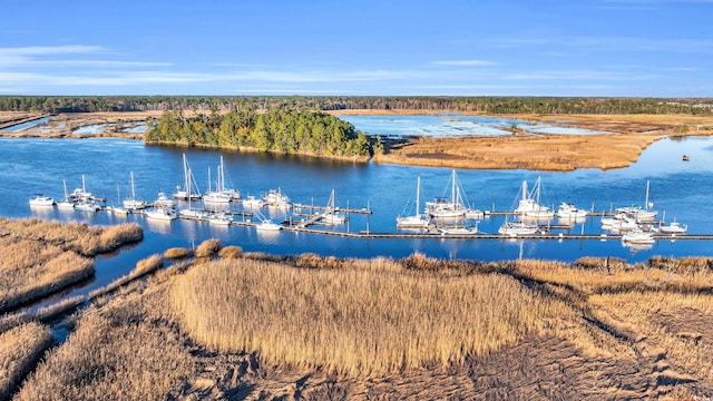 239 Madison Dr, Georgetown, SC 29440 - water view