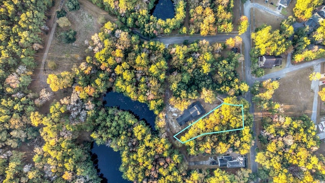239 Madison Dr, Georgetown, SC 29440 - aerial view