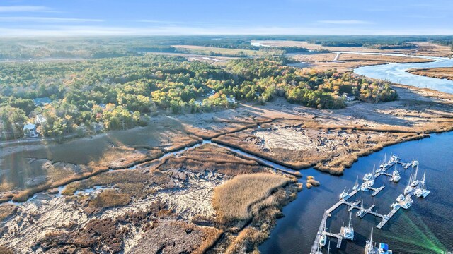 239 Madison Dr, Georgetown, SC 29440 - aerial view of a large body of water and a marina