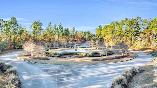 239 Madison Dr, Georgetown, SC 29440 - view of home's community