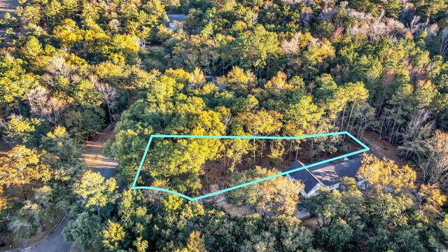 239 Madison Dr, Georgetown, SC 29440 - aerial view of property's location featuring property boundaries highlighted and a heavily wooded area