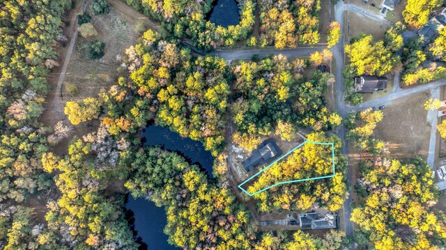 239 Madison Dr, Georgetown, SC 29440 - view of property location featuring property boundaries highlighted