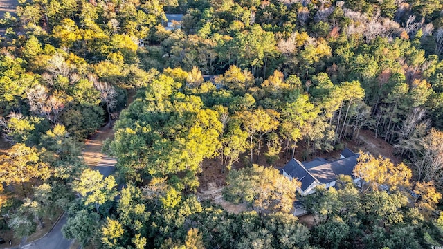 239 Madison Dr, Georgetown, SC 29440 - aerial view with a wooded view