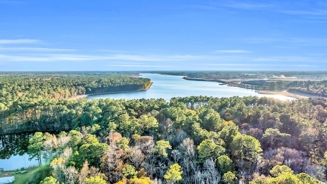 bird's eye view featuring a water view and a wooded view